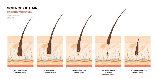 Minoxidil 101: Everything You Need to Know About Generic Rogaine ...